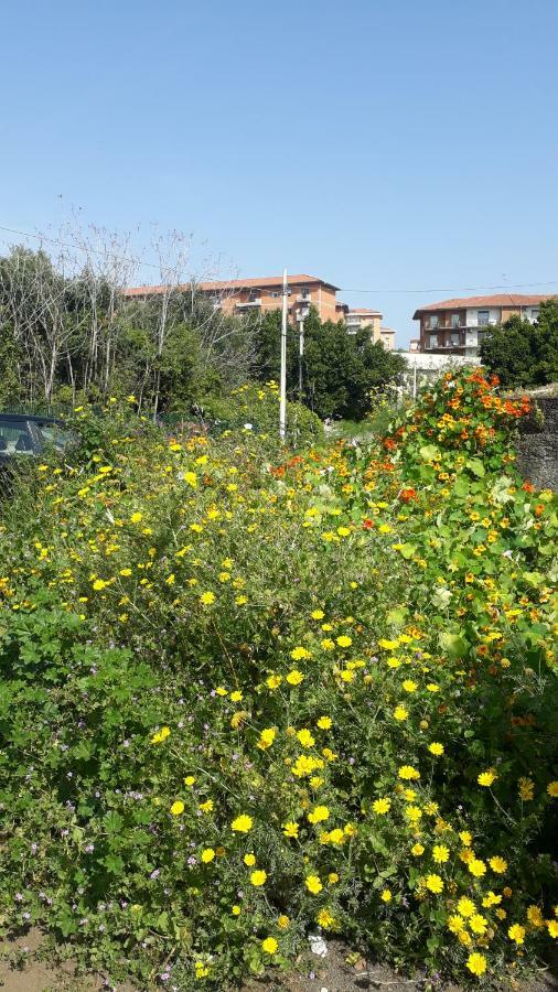 Carrubo - Giardino in città Catânia Exterior foto